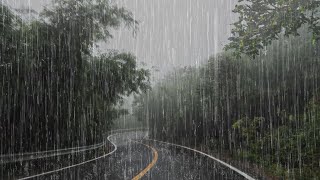 Lluvia Relajante Para Dormir y Descansar Profundamente en 6 Minutos  Lluvia en el Hermoso Bosque [upl. by Elletsyrc]