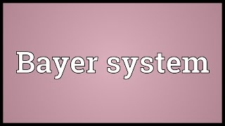 Bayer system Meaning [upl. by Attennaej]