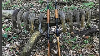 Squirrel Hunting Madness HICKORY MAGIC [upl. by Nepsa]