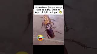 wala na talaga kayo pinipili lugar 🤣😂 akosizenkieTV shortvideo funny clips goodvibes [upl. by Ydnew]