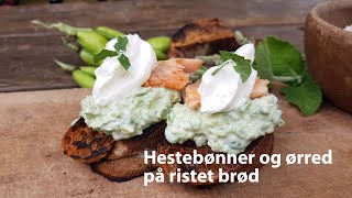 Hestebønner og ørred på ristet brød  Broad beans and trout on toast [upl. by Yoong]