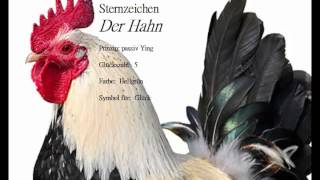 Chinesisches Sternzeichen der Hahn und seine Eigenschaften Zielgerichtet und voller Selbstvertrauen [upl. by Ahsieket53]