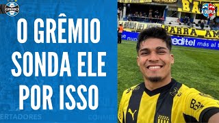 🔵⚫ Grêmio Matias Arezo  finalizador nato  Faro de gol e velocidade  Talento e potencial [upl. by Raymond]