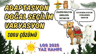 Adaptasyon Doğal Seçilim ve Varyasyon Soru Çözümü  2025 LGS Fen Bilimleri Yaz Kampı [upl. by Creamer993]