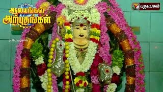 Sri Kamanada Eswarar Temple Aragalur Salem Aalayangal Arputhangal  08082016  Puthuyugam TV [upl. by Regan906]