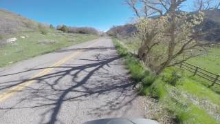 Long video no topic  Hobble Creek Left Fork [upl. by Debra232]