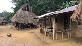 This is How Liberian village Looks in 2023 Liberia West Africa [upl. by Huppert]