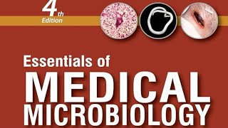 CANDIDA infection microbiology mbbs [upl. by Tse]