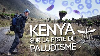 Kenya  sur la piste du Paludisme Cycle symptômes prévention English sub [upl. by Belsky]