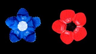 Bleuet et Coquelicot pour le Jour du souvenir [upl. by Chick]