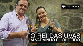 O Rei das uvas “Alvarinho e Loureiro”  Portugal  Por ai com Gabi  Ep7 [upl. by Sedecram]