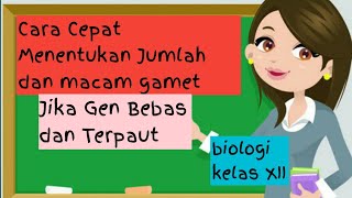 Jumlah Gamet Dan Macam Gamet Kelas 12 [upl. by Varney]