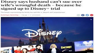 Disney Allergy Lawsuit is Crazy [upl. by Moclam391]