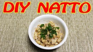 Homemade Natto  Getting your vitamin K2 [upl. by Niwrehs]