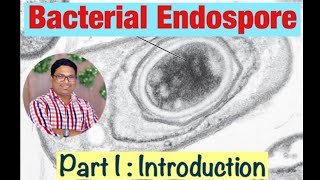 Bacterial Endospore formation Introduction Part I [upl. by Nola]