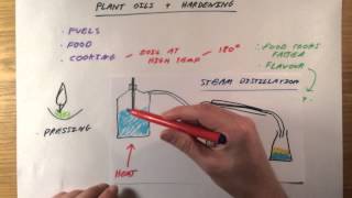 Plant Oils  Hardening  GCSE Chemistry [upl. by Nylavad]