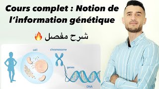 Cours complet  Notion de l’information génétique 🧬 شرح مفصل ومبسط [upl. by Hintze]