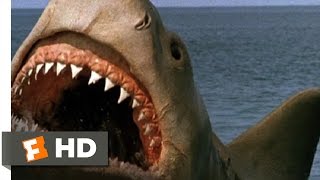 Shark Trap Scene  Jaws The Revenge  CLIP [upl. by Fitzger]