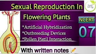 Chapter 14  Ecosystem in ಕನ್ನಡ  Full Chapter in One Video  2nd PUC KCETNEET [upl. by Assylla]