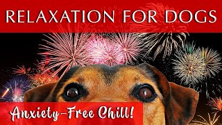 Relaxing Music for Dogs to Calm Down  GREAT FOR FIREWORKS [upl. by Anyak]