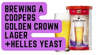 Brewing a Coopers Golden Crown Lager with Helles Lager Yeast [upl. by Eileme63]