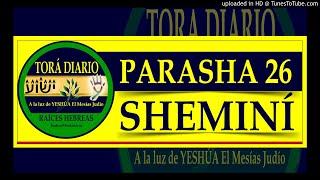 Parasha 26 Shemini 6 aliya [upl. by Meta]