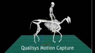 Qualisys Motion Capture of a Horse and rider [upl. by Eelnyl]