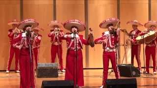 2014 Texas State High School Mariachi Competition Roma HS [upl. by Amaral]