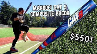 Hitting with the MARUCCI CAT 9 COMPOSITE BBCOR  2022 Baseball Bat Review [upl. by Goldenberg]