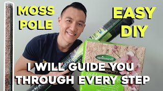 How to build a easy moss pole for plants I will guide you through the process from start to finish [upl. by Consuelo]