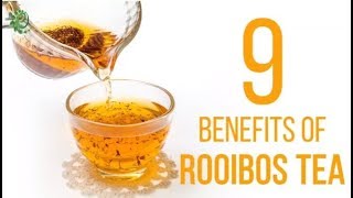 9 Amazing Ways Rooibos Tea Can Benefit Your Health  Organic Facts [upl. by Navis]