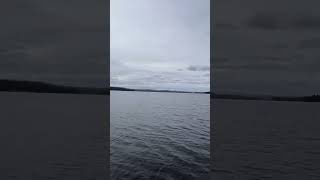 Went Fishing on Sebago Lake in Naples Maine [upl. by Calvano12]