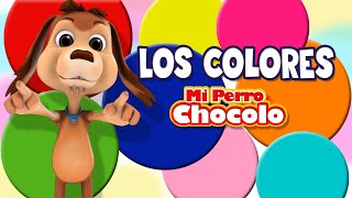 MI PERRO CHOCOLO APRENDE  LOS COLORES EN ESPAÑOL E INGLÉS [upl. by Drye865]