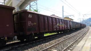 PARTENZA DEL TIGRONE E652116 DALLA STAZIONE DI MONDOVI [upl. by Schlenger]