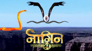 Naagin 4 episode 10 [upl. by Borden]