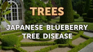 Japanese Blueberry Tree Disease [upl. by Esinev222]