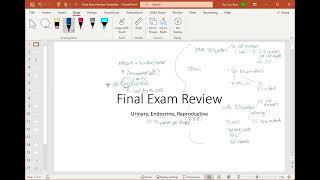 AampP Final Exam Review WNT24 [upl. by Einiar]