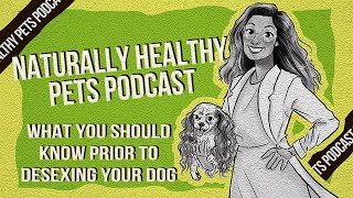 What You Should Know Prior to Desexing Your Dog  NHP Podcast Ep 19  Dr Judy amp Dr Karen Becker [upl. by Aitsirt]