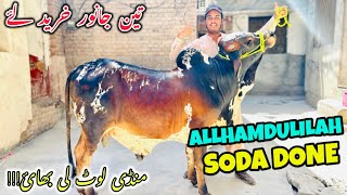 Mera Soda hogya AllhamdullilahđźŤ3 Janwar purchase kar liye Kala Mandi sy4June2024 [upl. by Ynnos854]