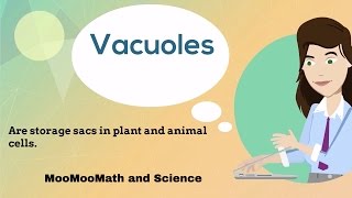 VacuolesCell Organelles [upl. by Akiehsal]