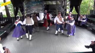 Folk dance  Schwedenpolka på Postbacken i Borgå  Porvoo 13072013 [upl. by Eelrahs703]