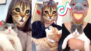 Pets hilarious reaction on TikTok filter  Funny Cat Videos 2020 [upl. by Georgetta]