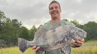 Black Drum Dock Fishing with Crabs Wrightsville Beach NC [upl. by Liggett]