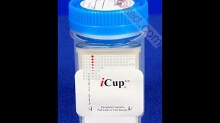 iCup Drug Screen Video Instructions Procedure [upl. by Kurland]