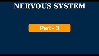 Nervous System Part  3  Protection of CNS  Meninges  CSF  Blood Brain Barrier  Ventricles [upl. by Corell141]