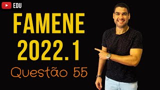 Q55  Famene 20221  FÍSICA  Prof Taveira [upl. by Flosi]