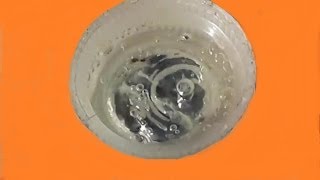 MERCURY reaction with NITRIC ACID [upl. by Albie731]