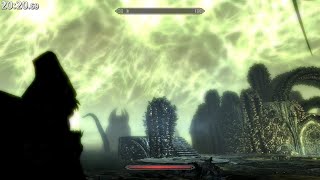 Skyrim Dragonborn speedrun in 2315 IGT [upl. by Meggi]