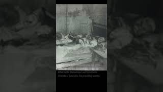 Famous Photographs  Jack The Ripper And Her Final Victim The Most Brutal [upl. by Hollington]