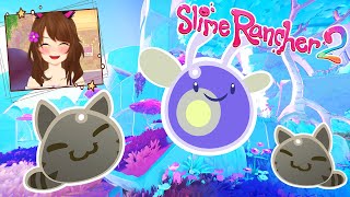 HO SCOPERTO DUE NUOVI SLIME SU SLIME RANCHER 2 🤩 [upl. by Patrick]